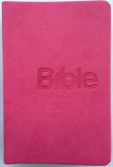 Bible, peklad 21. stolet (Pink) - Alexandr Flek
