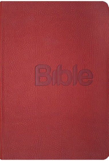 Bible, překlad 21. století (Coral kůže) - Alexandr Flek