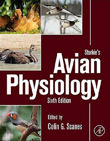 Sturkies Avian Physiology - Scanes Colin G.