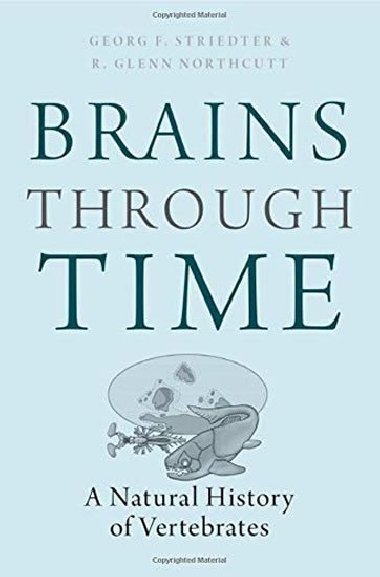 Brains Through Time: A Natural History of Vertebrates - Striedter Georg F.