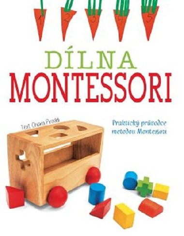 Dlna Montessori - Chiara Piroddi