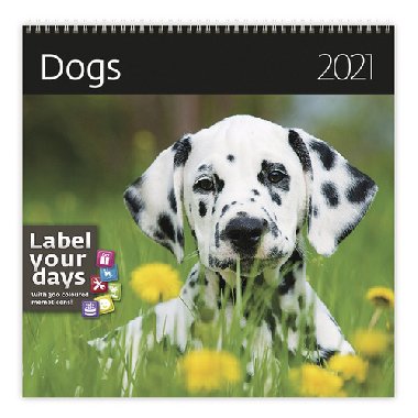 Kalend 2021 nstnn: Dogs - Psi - 300x300 mm - Helma