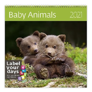 Kalend 2021 nstnn: Baby Animals, 300x300 - Helma