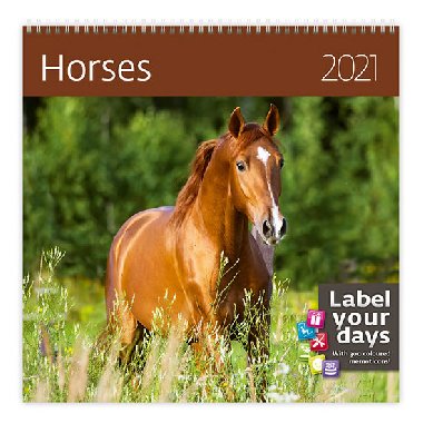 Kalend 2021 nstnn: Horses, 300x300 - Helma