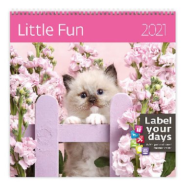 Kalend 2021 nstnn: Little Fun, 300x300 - Helma