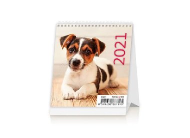 Kalend 2021 stoln: Mini Puppies, 96x105 - Helma