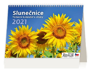 Kalend 2021 stoln: Slunenice tdenn s citty 211x148 mm - Helma