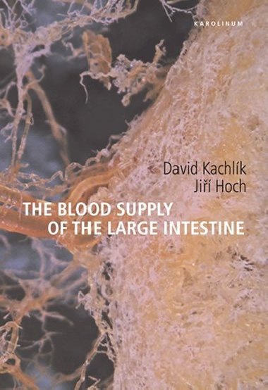 The Blood Supply od the Large Intestine - Kachlk David, Hoch Ji