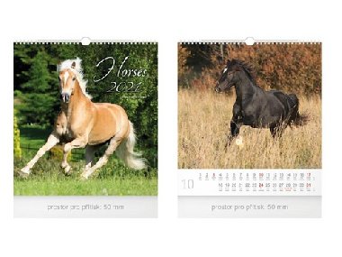 Mal Horses - nstnn kalend 2021 - MFP paper
