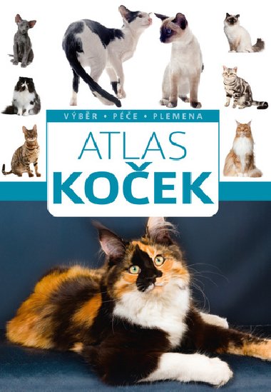 Atlas koček - Výběr, péče, plemena - Barbara V. Tittenbrun-Jazienicka