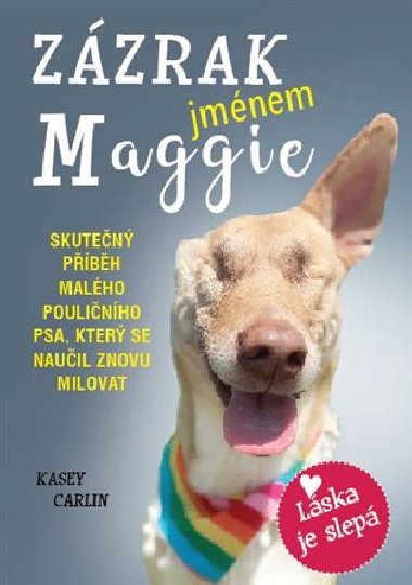 Zázrak jménem Maggie - Skutečný příběh malého pouličního psa Maggie, který se naučil znovu milovat - Kasey Carlin