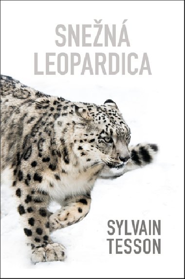 Snen leopardica - Sylvain Tesson