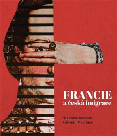 Francie a esk imaginace - Stanislav Brouek,Lubomr Martnek