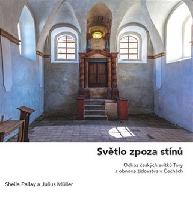 Světlo zpoza stínů - Julius Müller,Sheila Pallay
