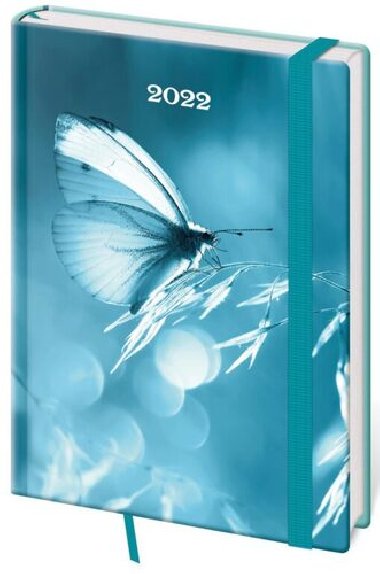 Di 2022 Vario - Butterfly s gumikou, tdenn, A5 - Helma