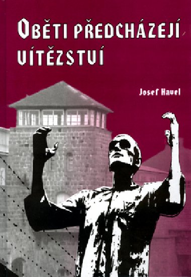 OBTI PEDCHZEJ VTZSTV - Josef Havel