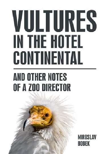 Vultures in the hotel Continental - Miroslav Bobek