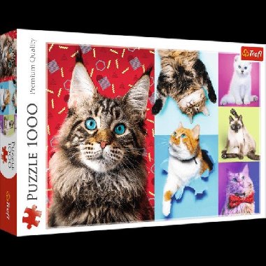 Puzzle Veselé kočky, 1000 dílků - neuveden