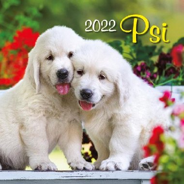 Kalend 2022 - Psi, nstnn - neuveden