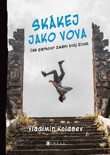 Skkej jako Vova - Koldaev Vladimir