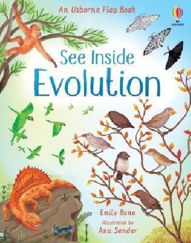 See Inside Evolution - Bone Emily