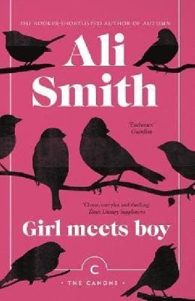 Girl Meets Boy - Smith Ali