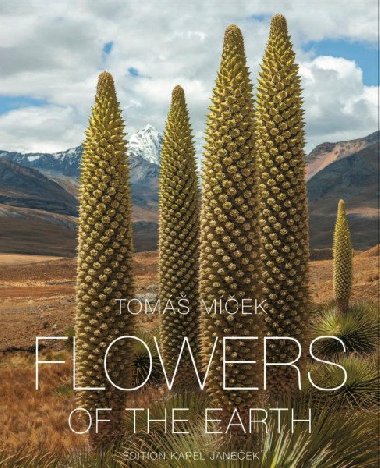 Flowers of the Earth - Tom Mek