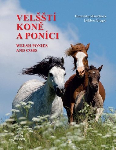 Velští koně a poníci - Dalibor Gregor; Dominika Marečková