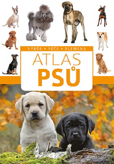 Atlas psů - výběr, péče, plemena - Anna Bizioreková