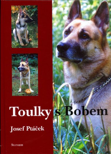 TOULKY S BOBEM - Josef Ptek