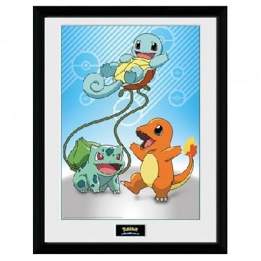 Pokémon Zarámovaný plakát - Kanto Starters - neuveden