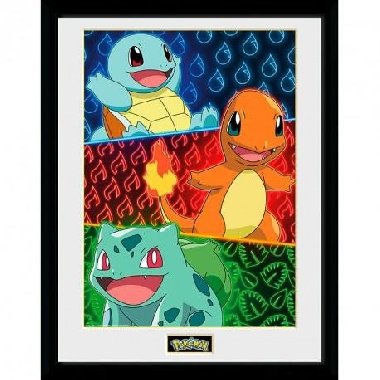 Pokémon Zarámovaný plakát - Starters - neuveden