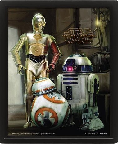 Obraz 3D Star Wars Droids - neuveden