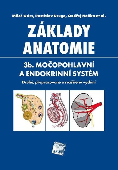 Zklady anatomie. 3b - Moopohlavn a endokrinn systm - Milo Grim; Rastislav Druga; Ondej Naka