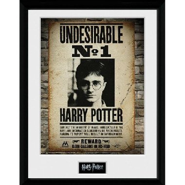 Harry Potter Zarámovaný plakát - Nežádoucí č. 1 - neuveden