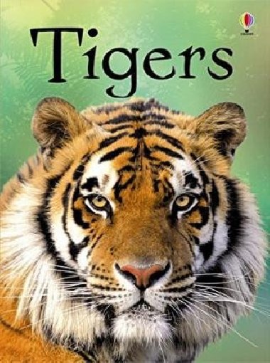 Beginners Tigers - Maclaine James