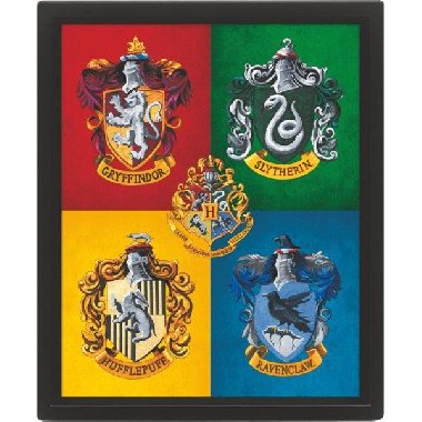 Harry Potter Obraz 3D - barevný - neuveden