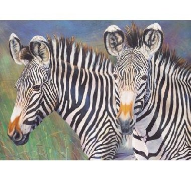 Royal Langnickel Malování podle čísel - zebry - neuveden