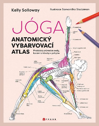 Jóga - anatomický vybarvovací atlas - Kolektiv