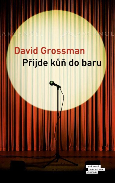 Pijde k do baru - Grossman David