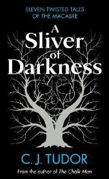 A Sliver of Darkness - Tudor C. J., Tudor C. J.