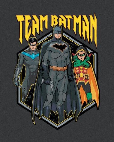 Malovn podle sel 40 x 50 cm Batman - Team - neuveden