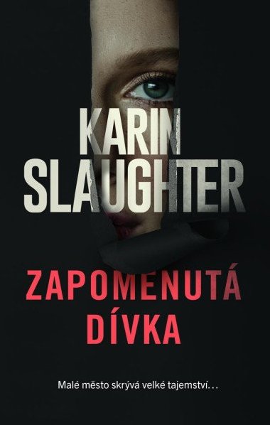 Zapomenut dvka - Karin Slaughter