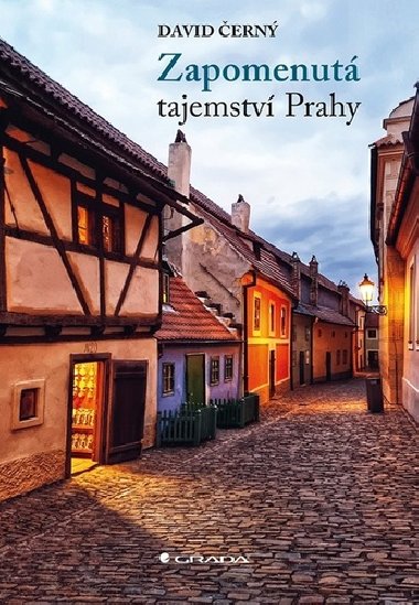 Zapomenut tajemstv Prahy - David ern