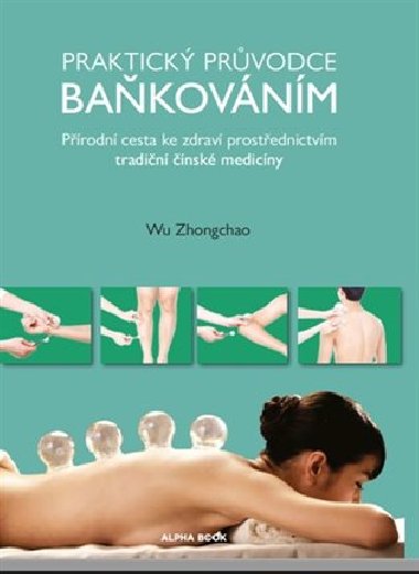 Praktick prvodce bakovnm - Prodn cesta ke zdrav prostednictvm tradin nsk medicny - Wu Zhongchao