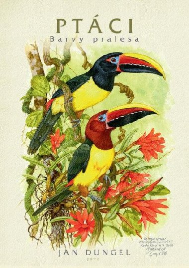 Ptci Barvy pralesa - Jan Dungel