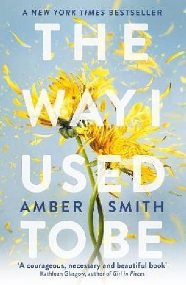 The Way I Used to Be - Smith Amber, Smith Amber