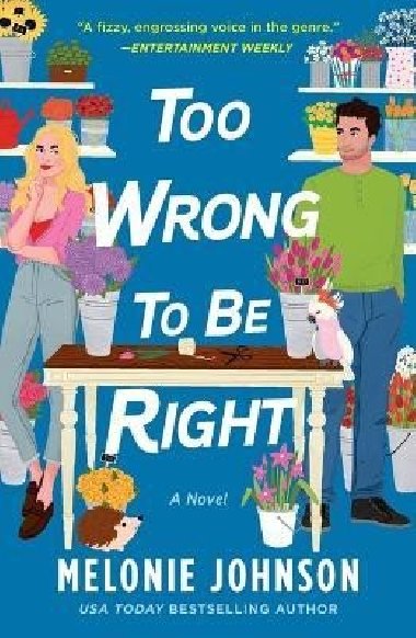 Too Wrong to Be Right: A Novel - Johnson Melonie