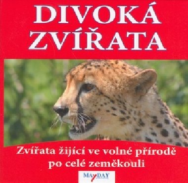 DIVOK ZVATA - 