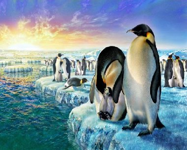 Malování podle čísel - Tučňáci na ledě 40 x 50 cm (s rámem) - neuveden, neuveden
